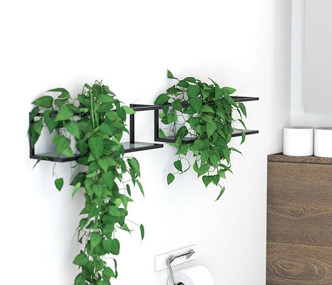 Dansani multifunktionel hylde inkl. 2 glashylder - Mat sort Dansani multifunktionel hylde inkl. 2 glashylder - Mat sort